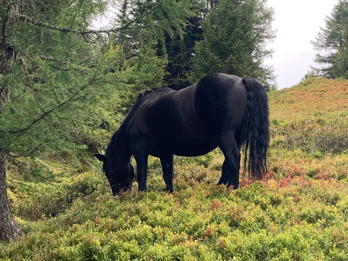 Katschi Lodge Katschberghöhe エクステリア 写真